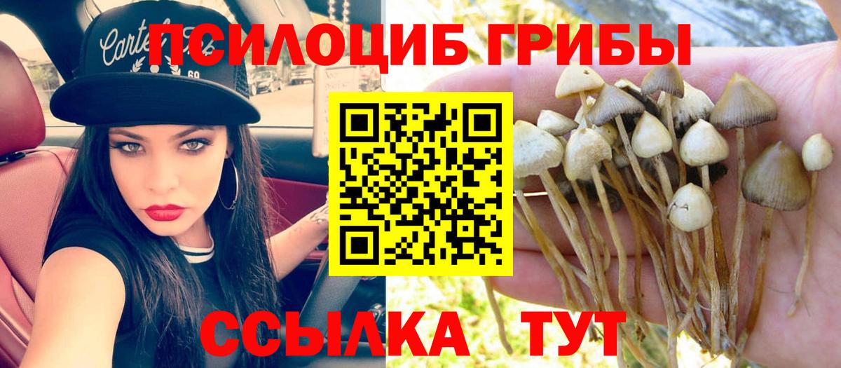 Псилоцибиновые грибы Cubensis  Галлюциногенные грибы ЛСД  Вход с VPN  цены   Пугачёв 